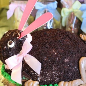 Chocolate Bunny Cake